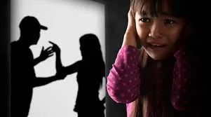 Femmes=Victimes? Hommes=Agresseur?