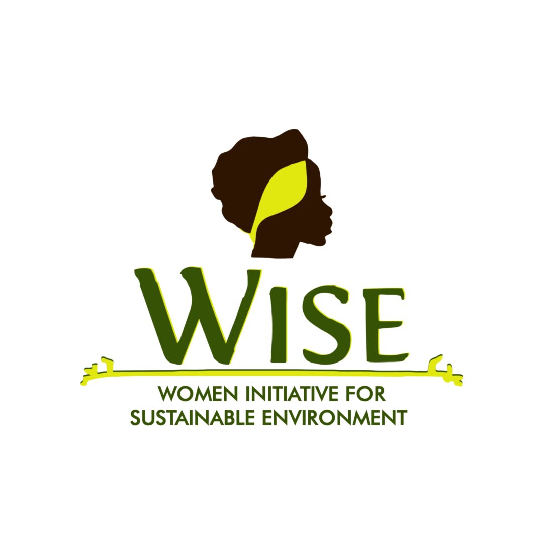 WISE NIGERIA-Women Initiative for Sustainable Environment