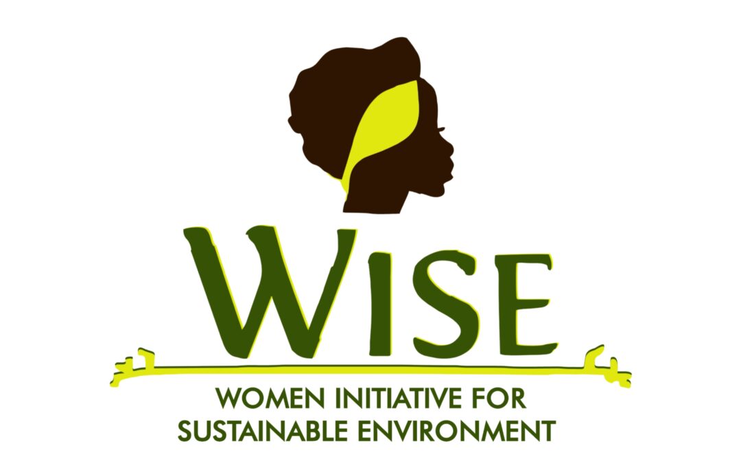 WISE NIGERIA-Iniciativa de las Mujeres para un Medio Ambiente Sostenible